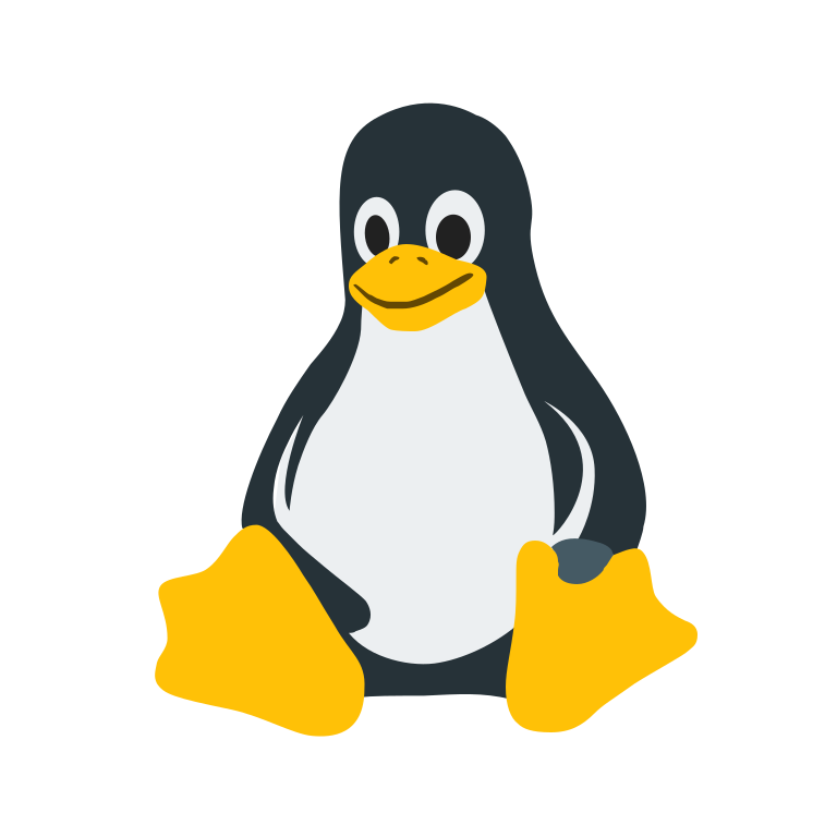 VPS KVM DEBUTANT